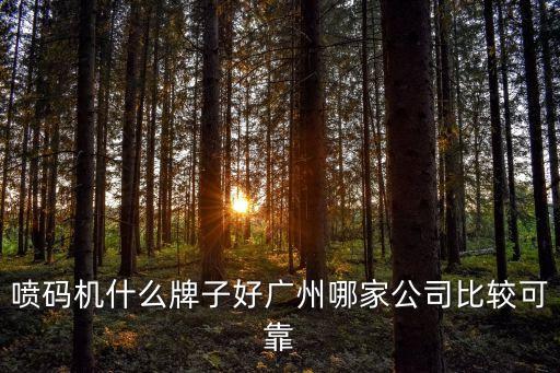 噴碼機(jī)什么牌子好廣州哪家公司比較可靠