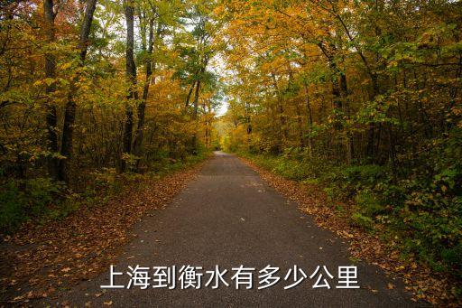 上海市至河北衡水公里數，上海到衡水幾公里