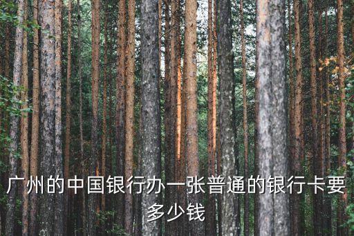 廣州的中國銀行辦一張普通的銀行卡要多少錢
