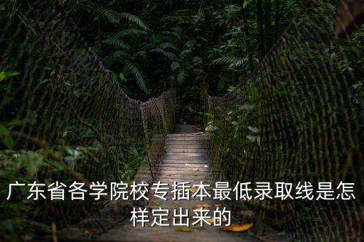 廣東省各學院校專插本最低錄取線是怎樣定出來的