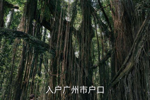 入戶廣州市戶口