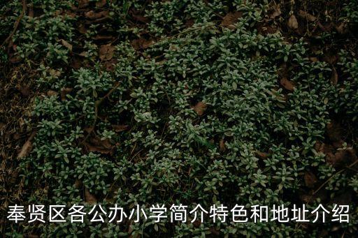 奉賢區各公辦小學簡介特色和地址介紹