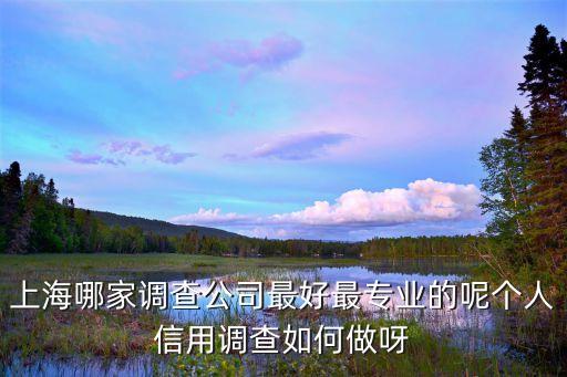 上海哪家調(diào)查公司最好最專業(yè)的呢個(gè)人信用調(diào)查如何做呀