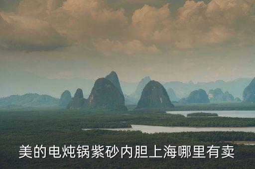 上海市換美的電飯鍋內膽在哪，美的電燉鍋紫砂內膽上海哪里有賣