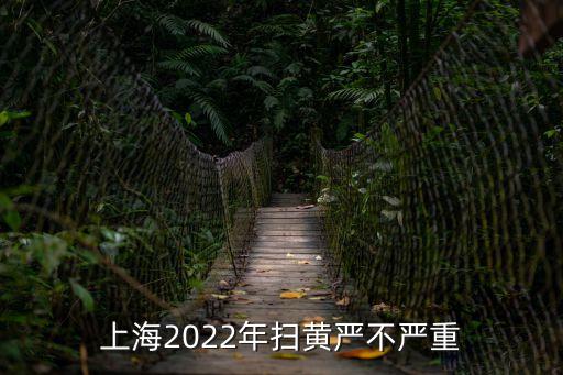 上海市三橋路掃黃工作，上海這個城市該嚴打掃黃了