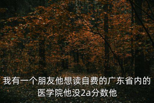 我有一個朋友他想讀自費的廣東省內的醫學院他沒2a分數他