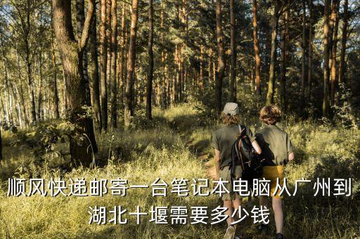 順風快遞郵寄一臺筆記本電腦從廣州到湖北十堰需要多少錢