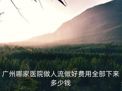 廣州打胎要多少錢 都來百信好，廣州哪家醫(yī)院做人流做好費用全部下來多少錢