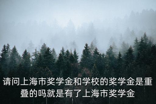 請問上海市獎學金和學校的獎學金是重疊的嗎就是有了上海市獎學金