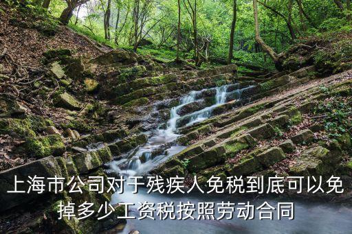 上海市公司對于殘疾人免稅到底可以免掉多少工資稅按照勞動合同