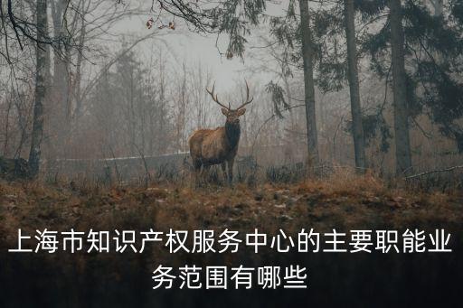 上海市知識(shí)產(chǎn)權(quán)服務(wù)中心的主要職能業(yè)務(wù)范圍有哪些