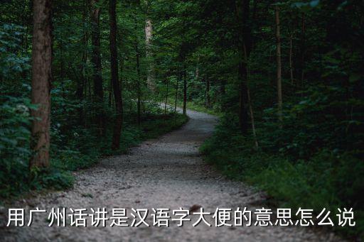 用廣州話講是漢語字大便的意思怎么說