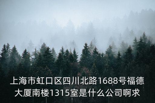 上海市虹口區(qū)四川北路1688號(hào)福德大廈南樓1315室是什么公司啊求