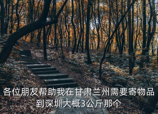 蘭州寄快遞到深圳多少錢一公斤，各位朋友幫助我在甘肅蘭州需要寄物品到深圳大概3公斤那個(gè)