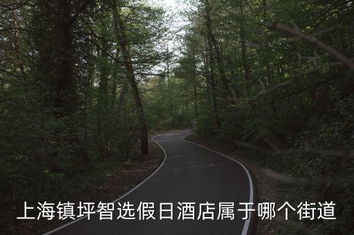 上海鎮坪智選假日酒店屬于哪個街道
