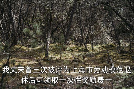 上海市勞模待遇規(guī)定，我丈夫曾三次被評(píng)為上海市勞動(dòng)模范退休后可領(lǐng)取一次性獎(jiǎng)勵(lì)費(fèi)一
