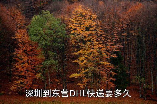 深圳到東營DHL快遞要多久