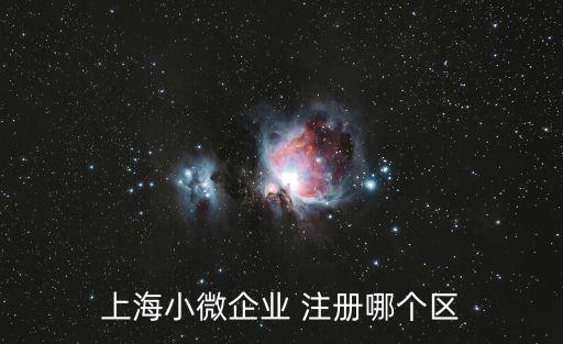 上海小微企業 注冊哪個區