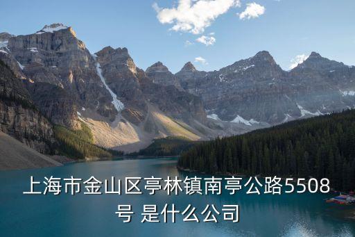上海市金山區亭林鎮南亭公路5508號 是什么公司
