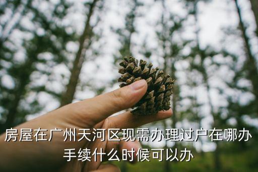 房屋在廣州天河區現需辦理過戶在哪辦手續什么時候可以辦