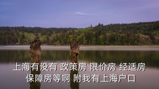 上海有沒有 政策房 限價房 經適房 保障房等啊 附我有上海戶口