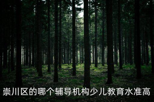 崇川區的哪個輔導機構少兒教育水準高