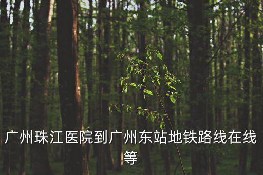廣州珠江醫院到廣州東站地鐵路線在線等