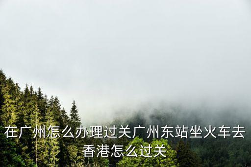 在廣州怎么辦理過關(guān)廣州東站坐火車去香港怎么過關(guān)