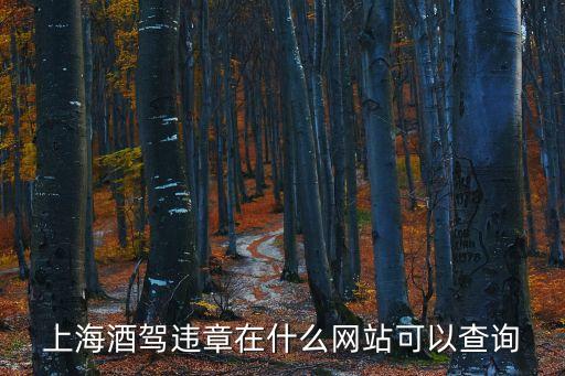 上海酒駕違章在什么網站可以查詢