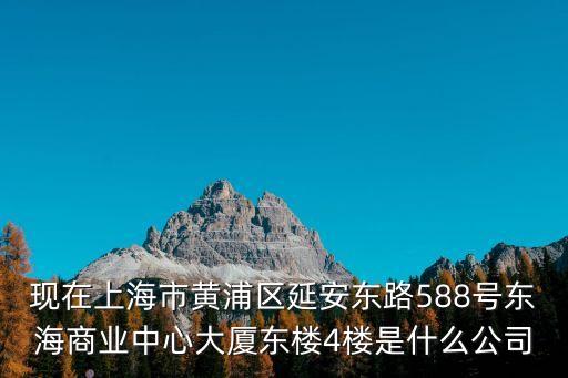 現在上海市黃浦區延安東路588號東海商業中心大廈東樓4樓是什么公司
