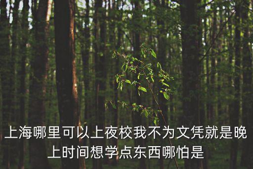 上海哪里可以上夜校我不為文憑就是晚上時(shí)間想學(xué)點(diǎn)東西哪怕是
