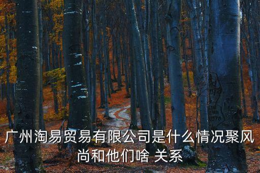廣州湖鑫商貿有限公司，廣州澄錦訊貿易有限公司是一家什么樣的公司