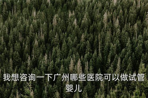 我想咨詢一下廣州哪些醫院可以做試管嬰兒