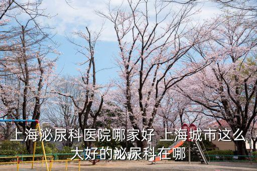 上海泌尿科醫院哪家好 上海城市這么大好的泌尿科在哪