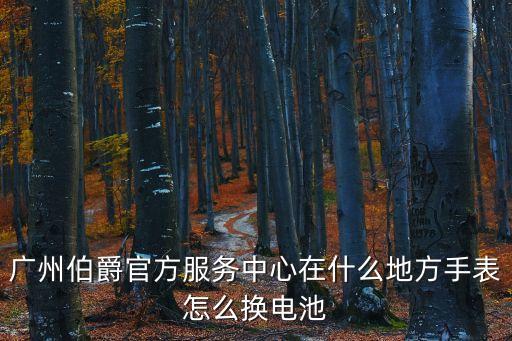 廣州伯爵官方服務中心在什么地方手表怎么換電池
