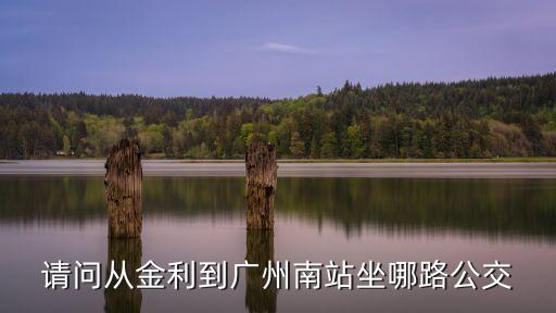 請問從金利到廣州南站坐哪路公交