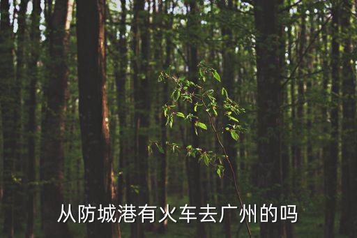 從防城港有火車去廣州的嗎