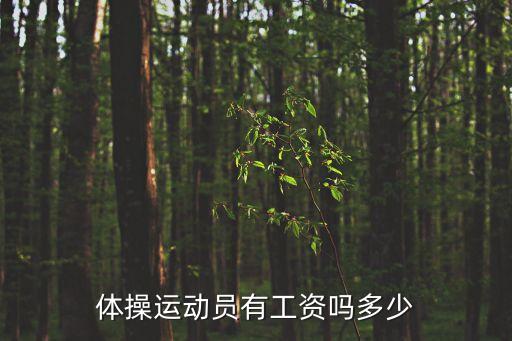 體操運(yùn)動(dòng)員有工資嗎多少