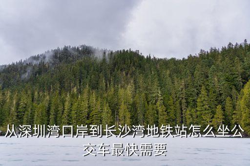 深圳灣到沙灣怎么坐車，我在深圳沙灣怎么坐車去動物園