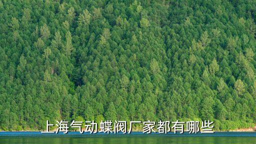 上海氣動蝶閥廠家都有哪些