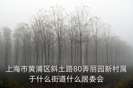 上海市黃浦區斜土路80弄麗園新村屬于什么街道什么居委會