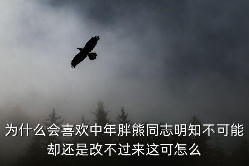 廣州中年壯熊男同志，男老中年壯熊胖凸起用英語怎么說