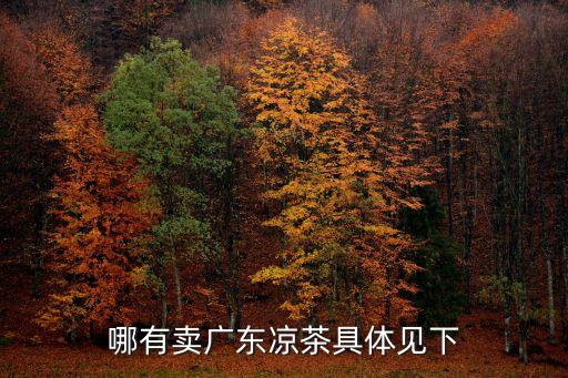 哪有賣廣東涼茶具體見下