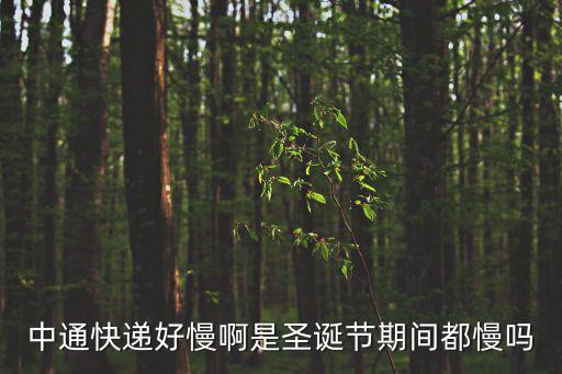 中通快遞好慢啊是圣誕節(jié)期間都慢嗎
