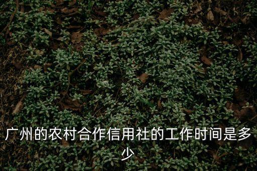 廣州的農村合作信用社的工作時間是多少