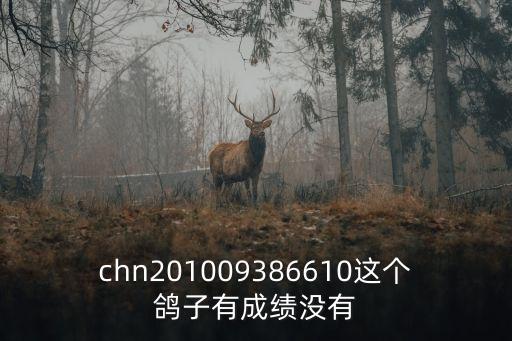 chn201009386610這個鴿子有成績沒有