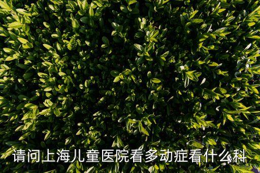 請問上海兒童醫院看多動癥看什么科