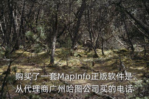 廣州伊莫圖電話，購買了一套MapInfo正版軟件是從代理商廣州哈圖公司買的電話