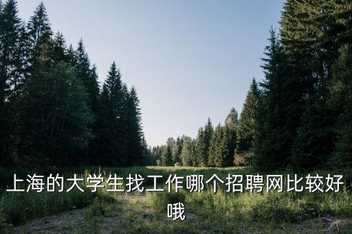 上海的大學生找工作哪個招聘網(wǎng)比較好哦