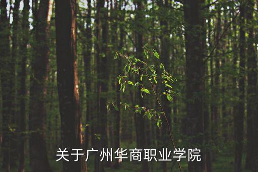 關于廣州華商職業學院